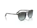 Ray-Ban Lunettes de Soleil RB 0RB2203 1391GK