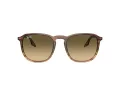 Ray-Ban Lunettes de Soleil RB 0RB2203 13920A