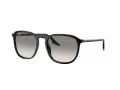 Ray-Ban Lunettes de Soleil RB 0RB2203 901/32