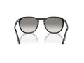 Ray-Ban Lunettes de Soleil RB 0RB2203 901/32