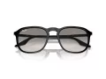 Ray-Ban Lunettes de Soleil RB 0RB2203 901/32