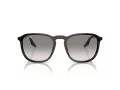 Ray-Ban Lunettes de Soleil RB 0RB2203 901/32