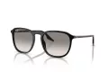 Ray-Ban Lunettes de Soleil RB 0RB2203 901/32