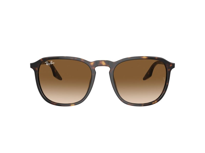 Ray-Ban Lunettes de Soleil RB 0RB2203 902/51