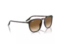 Ray-Ban Lunettes de Soleil RB 0RB2203 902/51