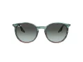 Ray-Ban Lunettes de Soleil RB 0RB2204 1394GK