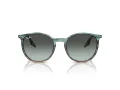 Ray-Ban Lunettes de Soleil RB 0RB2204 1394GK