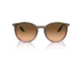 Ray-Ban Lunettes de Soleil RB 0RB2204 13953B