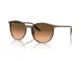Ray-Ban Lunettes de Soleil RB 0RB2204 13953B