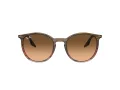 Ray-Ban Lunettes de Soleil RB 0RB2204 13953B