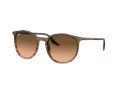 Ray-Ban Lunettes de Soleil RB 0RB2204 13953B