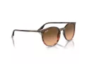 Ray-Ban Lunettes de Soleil RB 0RB2204 13953B