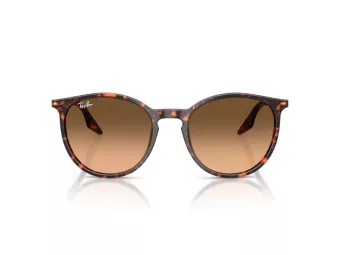 Ray-Ban Lunettes de Soleil RB 2204 14293B