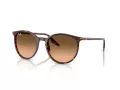 Ray-Ban Lunettes de Soleil RB 2204 14293B