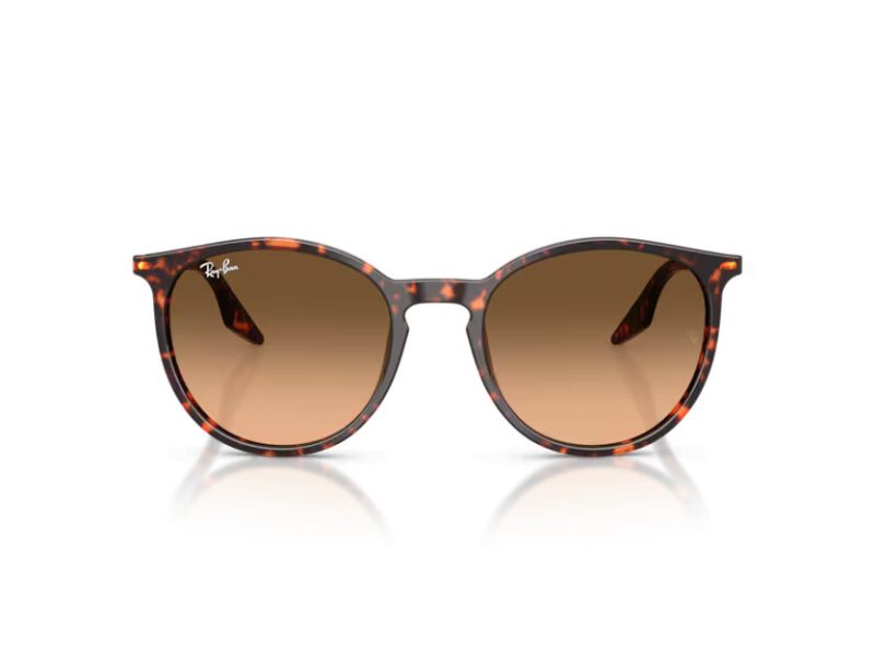 Ray-Ban Lunettes de Soleil RB 2204 14293B