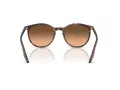Ray-Ban Lunettes de Soleil RB 2204 14293B