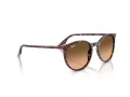 Ray-Ban Lunettes de Soleil RB 2204 14293B