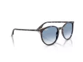 Ray-Ban Lunettes de Soleil RB 2204 14303F