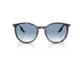 Ray-Ban Lunettes de Soleil RB 2204 14303F