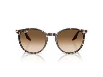 Ray-Ban Lunettes de Soleil RB 2204 143151