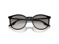 Ray-Ban Lunettes de Soleil RB 0RB2204 901/32