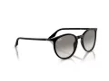 Ray-Ban Lunettes de Soleil RB 0RB2204 901/32