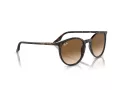 Ray-Ban Lunettes de Soleil RB 0RB2204 902/51