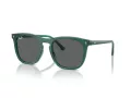 Ray-Ban Lunettes de Soleil RB 2210 6615B1