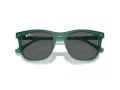 Ray-Ban Lunettes de Soleil RB 2210 6615B1