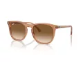 Ray-Ban Lunettes de Soleil RB 2210 676451