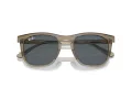 Ray-Ban Lunettes de Soleil RB 2210 6765R5