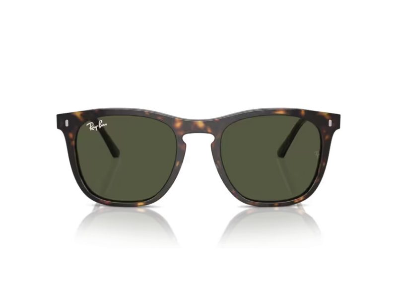 Ray-Ban Lunettes de Soleil RB 2210 902/31
