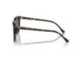 Ray-Ban Lunettes de Soleil RB 2210 902/31