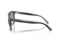 Ray-Ban Lunettes de Soleil RB 2213 14243F