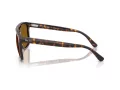 Ray-Ban Lunettes de Soleil RB 2213 902/33
