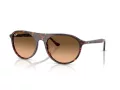 Ray-Ban Lunettes de Soleil RB 2215 14293B