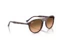Ray-Ban Lunettes de Soleil RB 2215 14293B