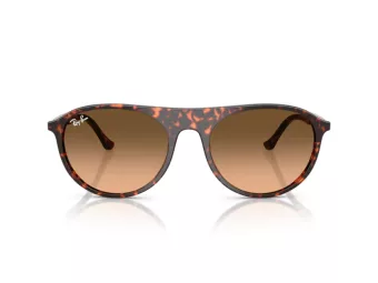 Ray-Ban Lunettes de Soleil RB 2215 14293B