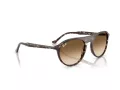 Ray-Ban Lunettes de Soleil RB 2215 143151
