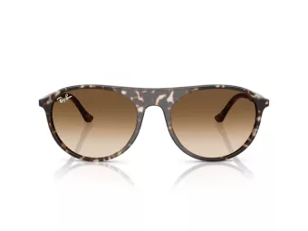 Ray-Ban Lunettes de Soleil RB 2215 143151