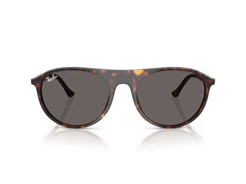 Ray-Ban Lunettes de Soleil RB 2215 902/B1