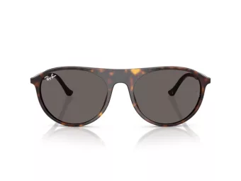 Ray-Ban Lunettes de Soleil RB 2215 902/B1