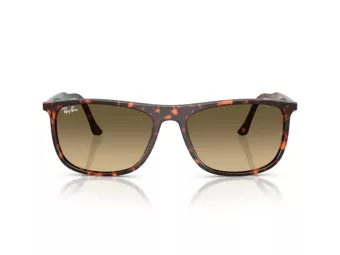 Ray-Ban Lunettes de Soleil RB 2216 14290A