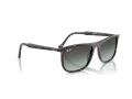 Ray-Ban Lunettes de Soleil RB 2216 1430GK