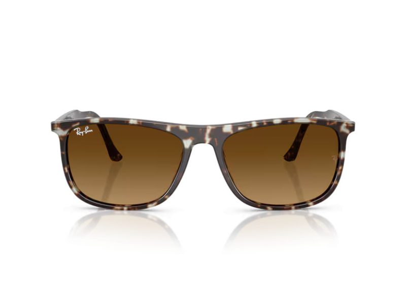 Ray-Ban Lunettes de Soleil RB 2216 143185