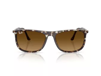 Ray-Ban Lunettes de Soleil RB 2216 143185
