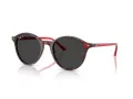 Ray-Ban Bernard Lunettes de Soleil RB 2230 141948