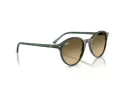 Ray-Ban Bernard Lunettes de Soleil RB 2230 14210A