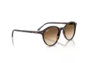 Ray-Ban Bernard Lunettes de Soleil RB 2230 902/51