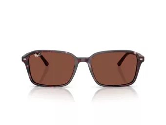 Ray-Ban Raimond Lunettes de Soleil RB 2231 1416C5